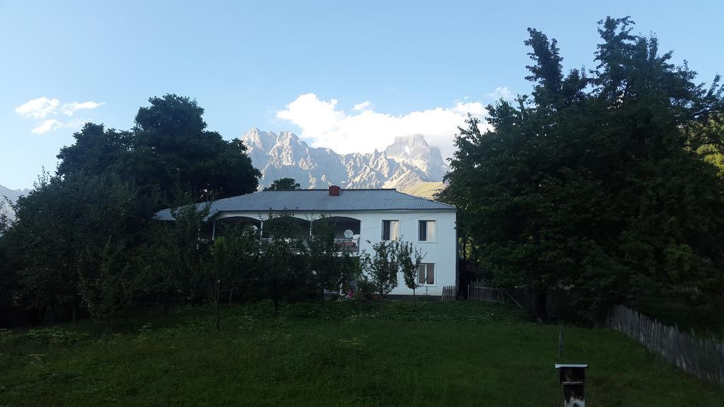 Guest House Vivaushba Bagvdanari Екстериор снимка