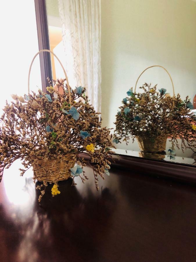 Guest House Vivaushba Bagvdanari Екстериор снимка
