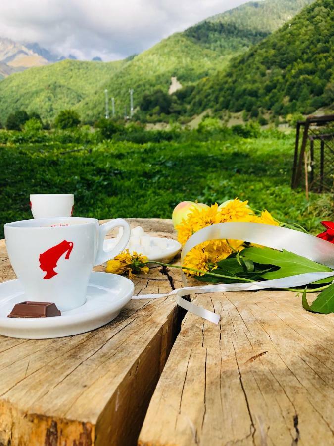Guest House Vivaushba Bagvdanari Екстериор снимка