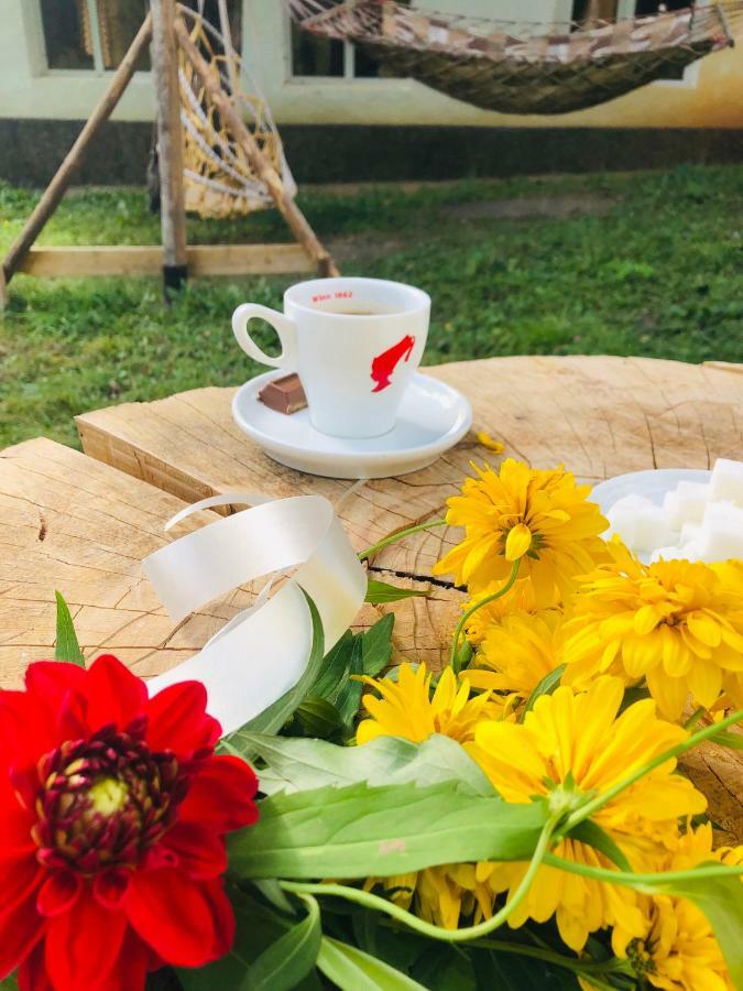 Guest House Vivaushba Bagvdanari Екстериор снимка